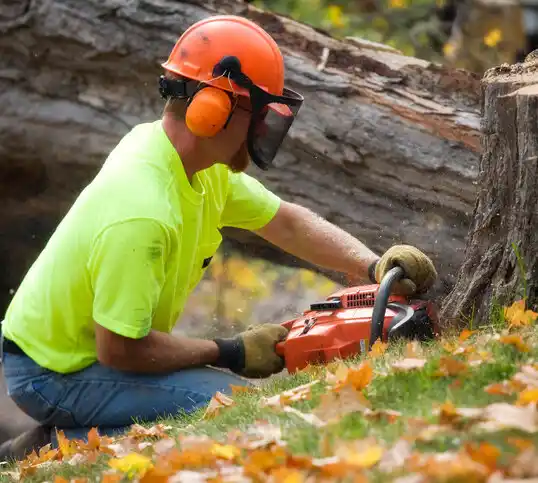 tree services Lovington